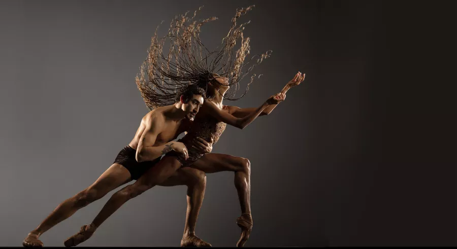 その他 Alonzo King Lines Ballet [Blu-ray] [Import] Alonzo King LINES Ballet - Nov 2, 2023 | Dance at Northrop